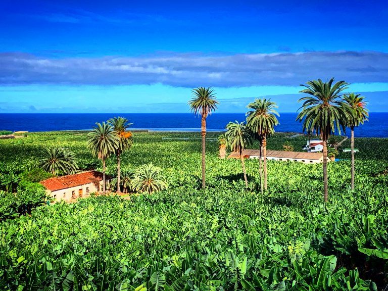 tenerife tours